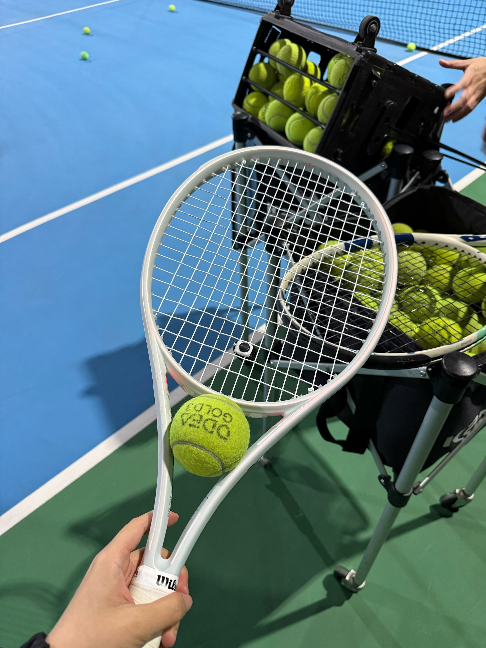 王思雨不仅 王思雨不仅