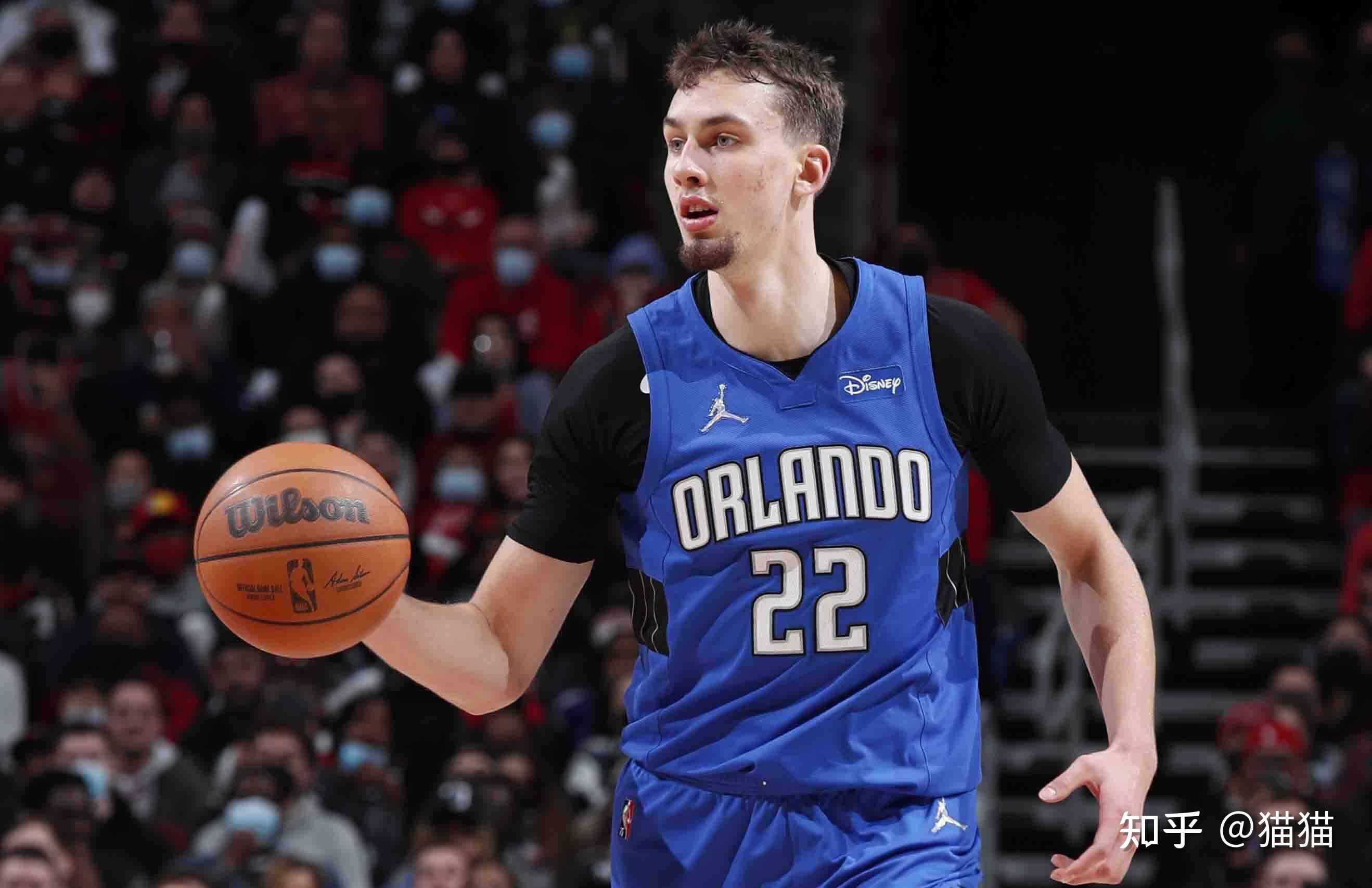 场上的组织 场上的组织