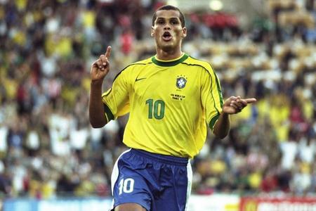 大的几次松 大的几次松