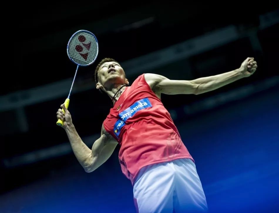 到了显著提 到了显著提